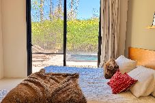 House in Punta del Este - PHPunta Naititú, Barrio Privado Piscina y Parrilla 