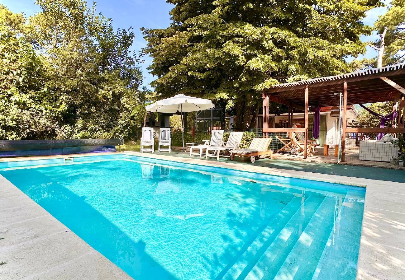 Villa in Punta del Este - PHPunta Casa Tilo, pool, BBQ area and garden